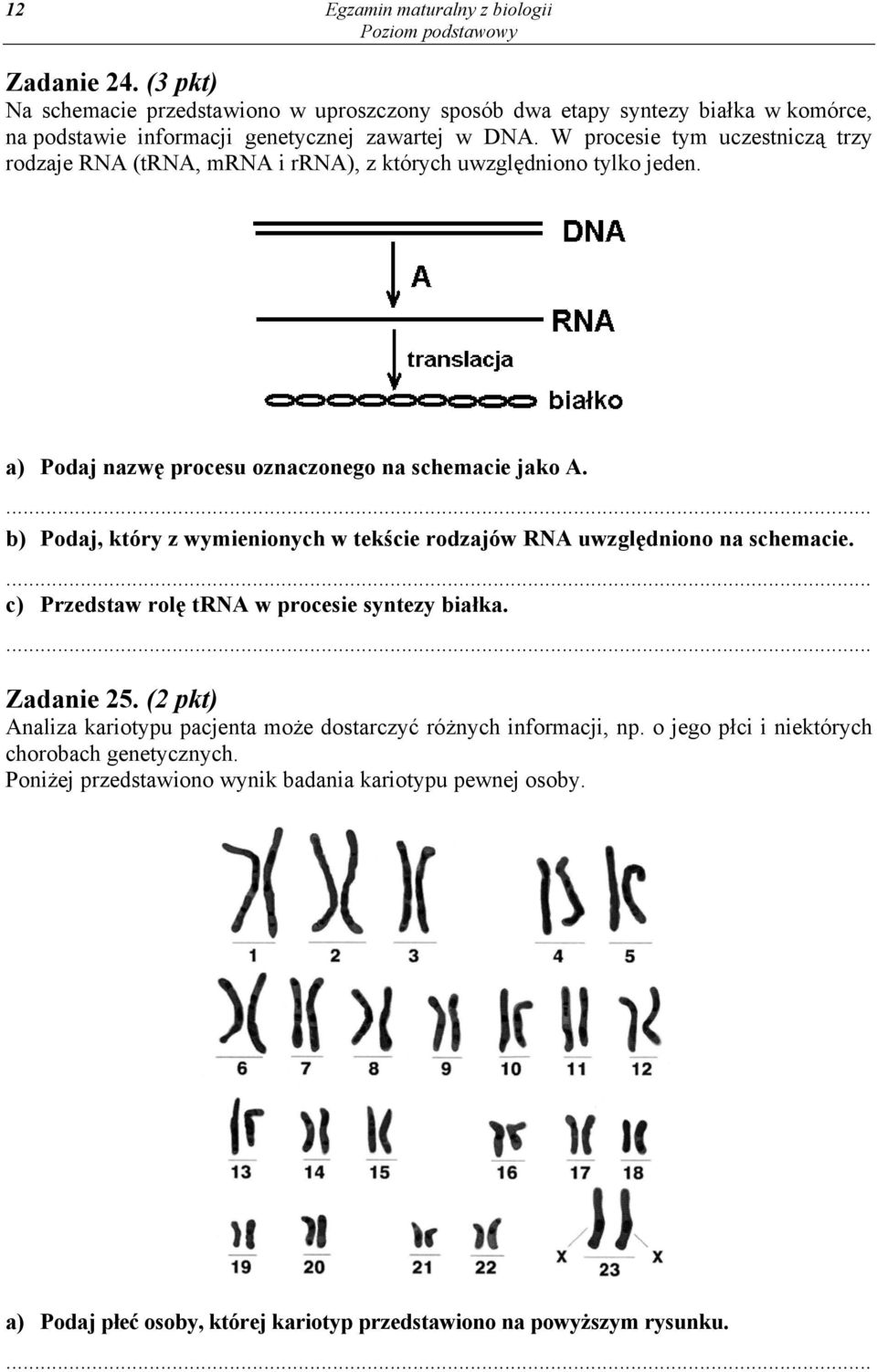 W procesie tym uczestniczą trzy rodzaje RNA (trna, mrna i rrna), z których uwzględniono tylko jeden. a) Podaj nazwę procesu oznaczonego na schemacie jako A.