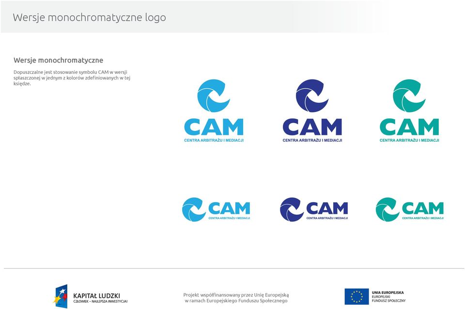 stosowanie symbolu CAM w wersji