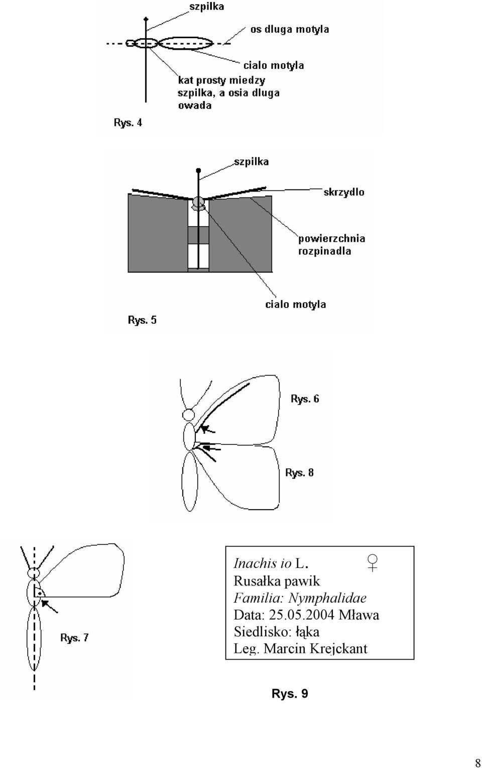 Nymphalidae Data: 25.05.