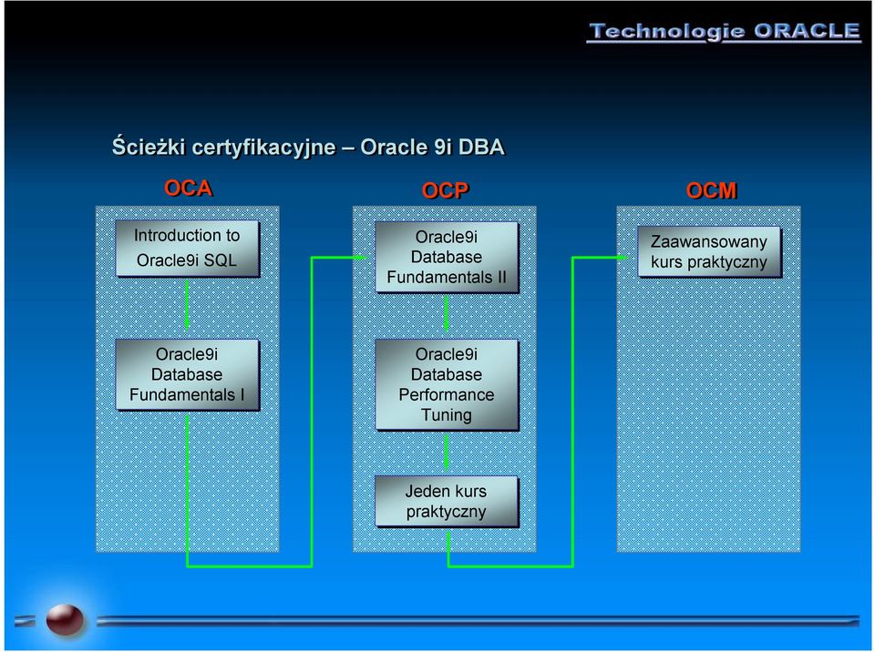 Zaawansowany kurs praktyczny Oracle9i Database