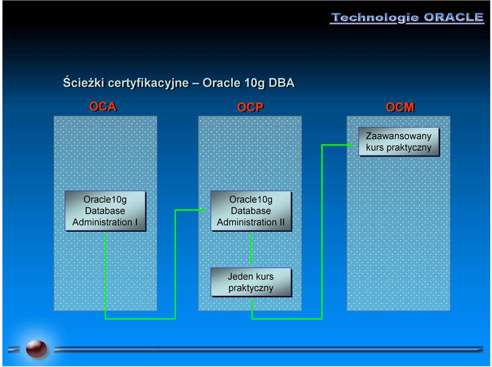 Oracle10g Database Administration I