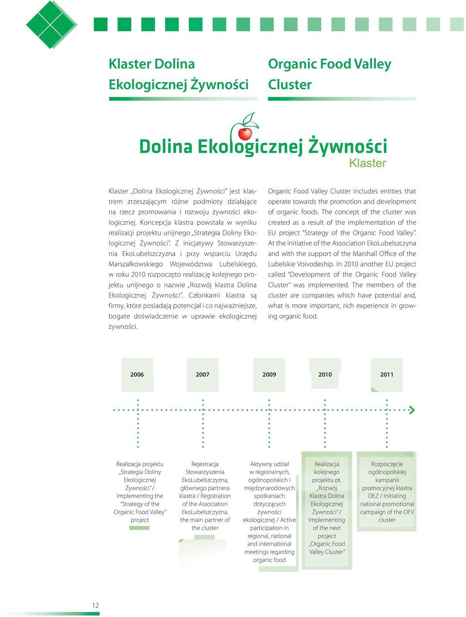 Z inicjatywy Stowarzyszenia EkoLubelszczyzna i przy wsparciu Urzędu Marszałkowskiego Województwa Lubelskiego, w roku 2010 rozpoczęto realizację kolejnego projektu unijnego o nazwie Rozwój klastra