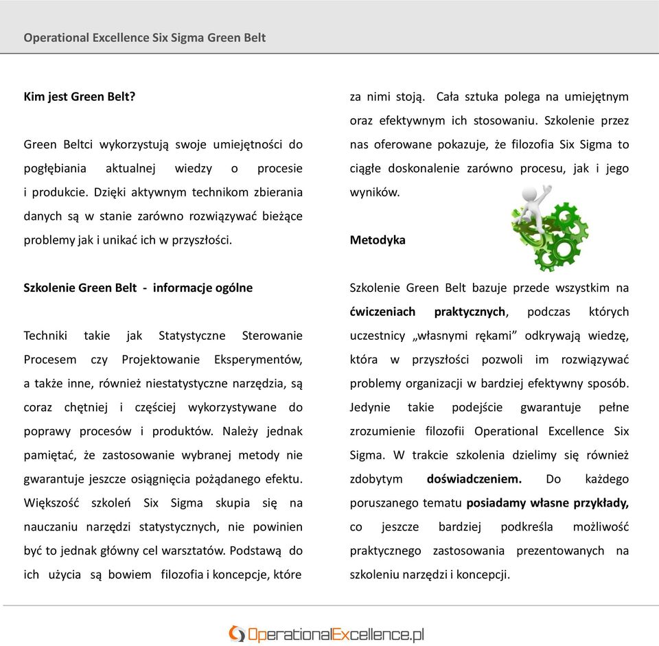 Cała sztuka polega na umiejętnym oraz efektywnym ich stosowaniu. Szkolenie przez nas oferowane pokazuje, że filozofia Six Sigma to ciągłe doskonalenie zarówno procesu, jak i jego wyników.