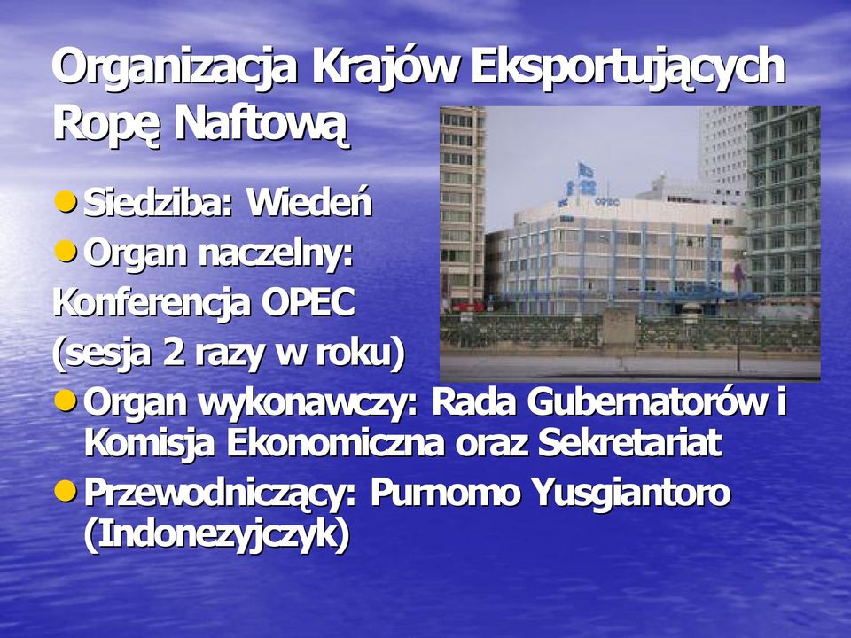 Organ wykonawczy: Rada Gubernatorów i Komisja Ekonomiczna