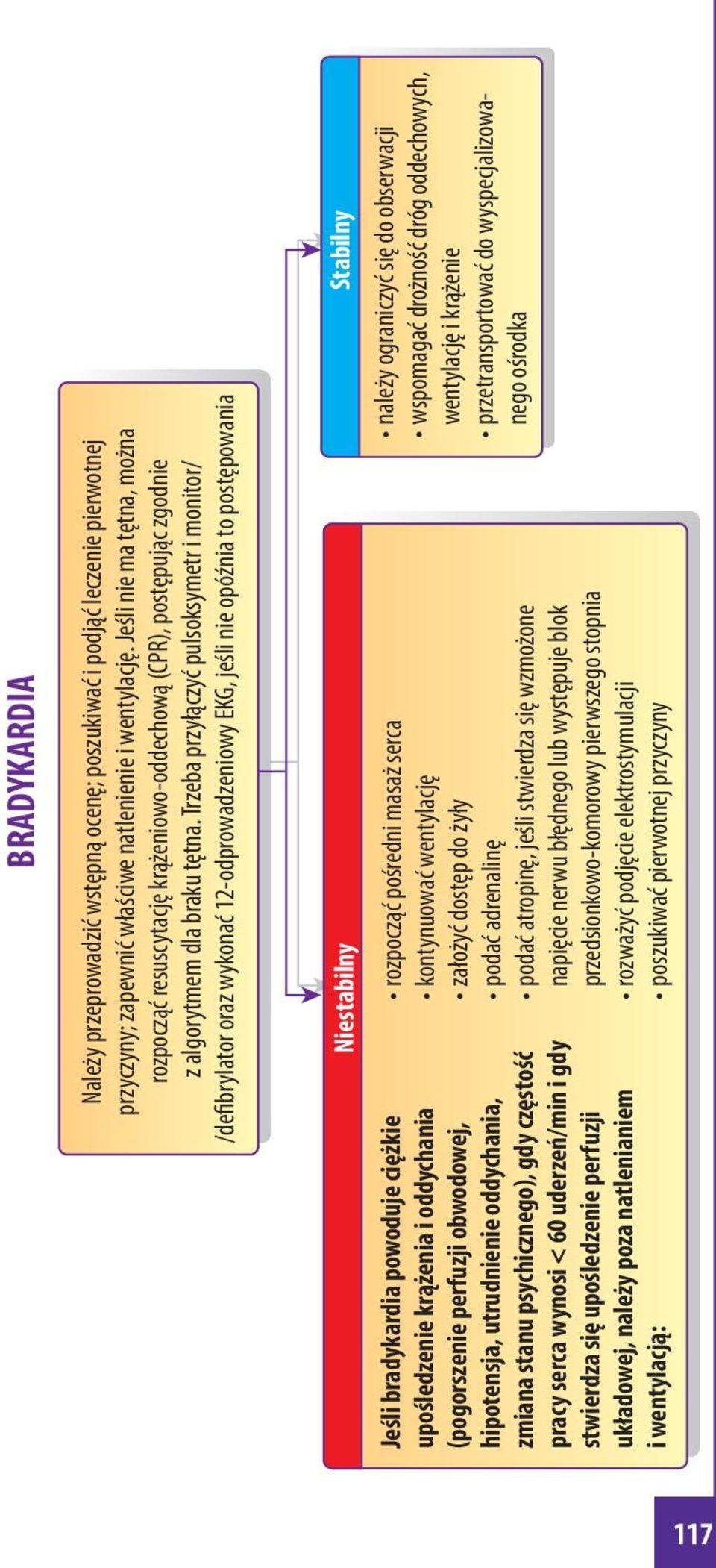 Trzeba przyłączyć pulsoksymetr i monitor/ /defibrylator oraz wykonać 12-odprowadzeniowy EKG, jeśli nie opóźnia to postępowania Jeśli bradykardia powoduje ciężkie upośledzenie krążenia i oddychania