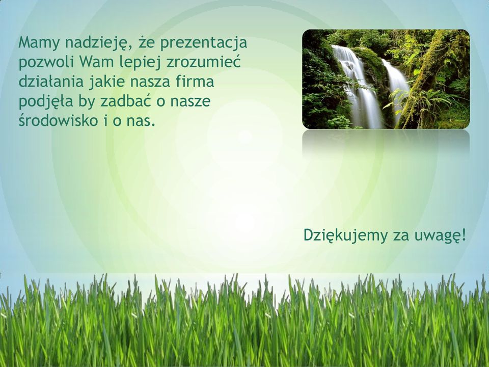 nasza firma podjęła by zadbać o nasze