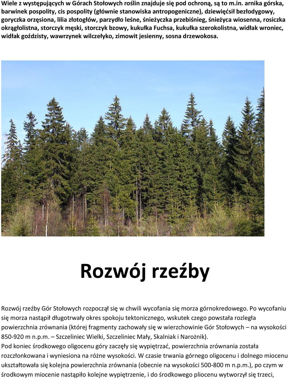 arnika górska, barwinek pospolity, cis pospolity (głównie stanowiska antropogeniczne), dziewiędsił bezłodygowy, goryczka orzęsiona, lilia złotogłów, parzydło leśne, śnieżyczka przebiśnieg, śnieżyca