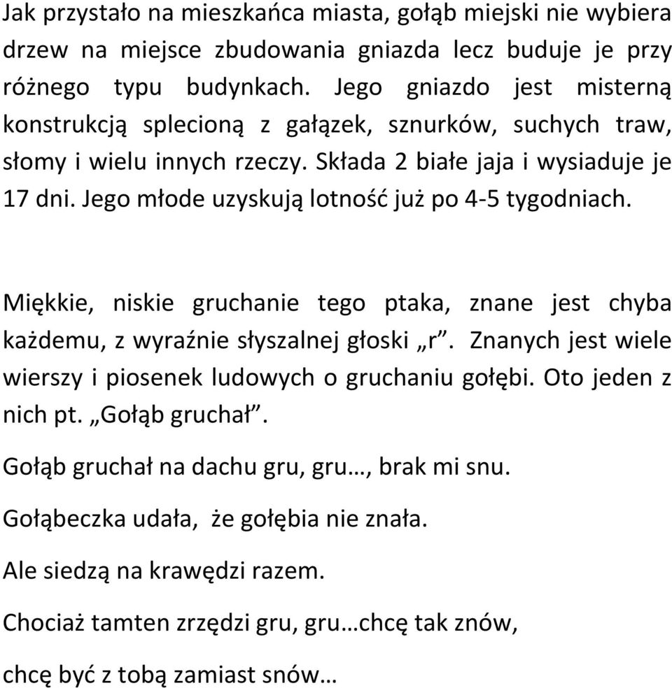 Jego młode uzyskują lotnośd już po 4-5 tygodniach. Miękkie, niskie gruchanie tego ptaka, znane jest chyba każdemu, z wyraźnie słyszalnej głoski r.