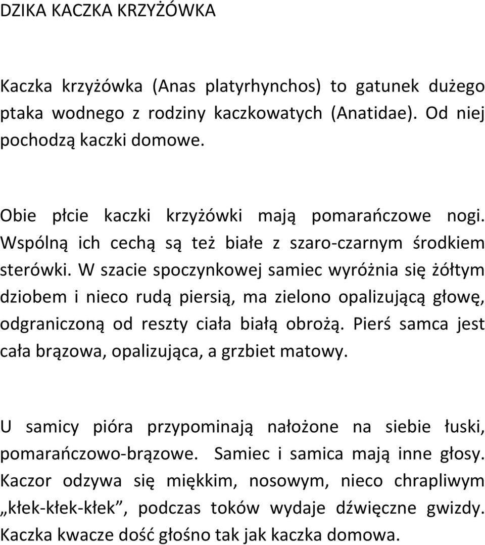 W szacie spoczynkowej samiec wyróżnia się żółtym dziobem i nieco rudą piersią, ma zielono opalizującą głowę, odgraniczoną od reszty ciała białą obrożą.