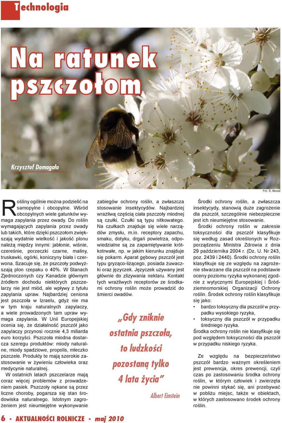 maliny, truskawki, ogórki, koniczyny biała i czerwona. Szacuje się, że pszczoły podwyższają plon rzepaku o 40%.