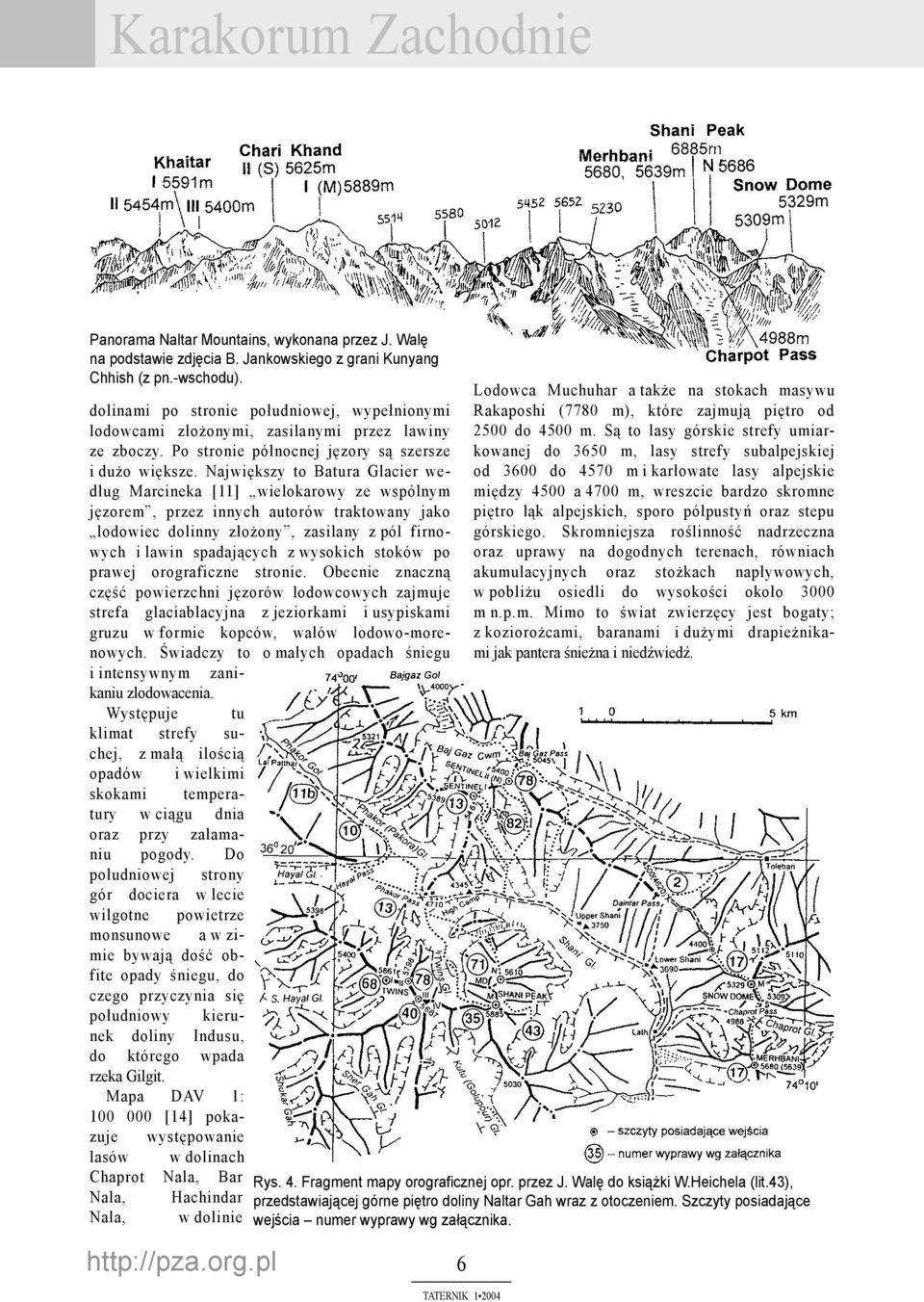 Największy to Batura Glacier według Marcineka [11] wielokarowy ze wspólnym jęzorem, przez innych autorów traktowany jako lodowiec dolinny złożony, zasilany z pól firnowych i lawin spadających z