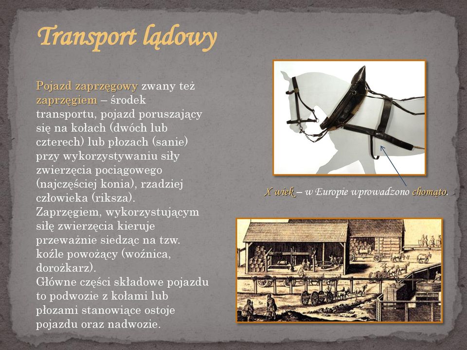(riksza). Zaprzęgiem, wykorzystującym siłę zwierzęcia kieruje przeważnie siedząc na tzw. koźle powożący (woźnica, dorożkarz).