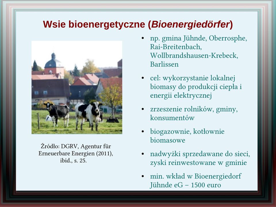 biomasy do produkcji ciepła i energii elektrycznej zrzeszenie rolników, gminy, konsumentów biogazownie,