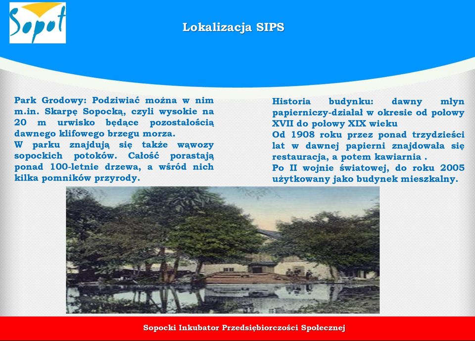 W parku znajdują się także wąwozy sopockich potoków. Całość porastają ponad 100-letnie drzewa, a wśród nich kilka pomników przyrody.