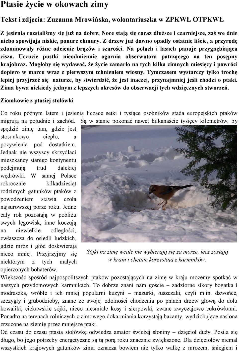 Na polach i lasach panuje przygnębiająca cisza. Uczucie pustki nieodmiennie ogarnia obserwatora patrzącego na ten posępny krajobraz.