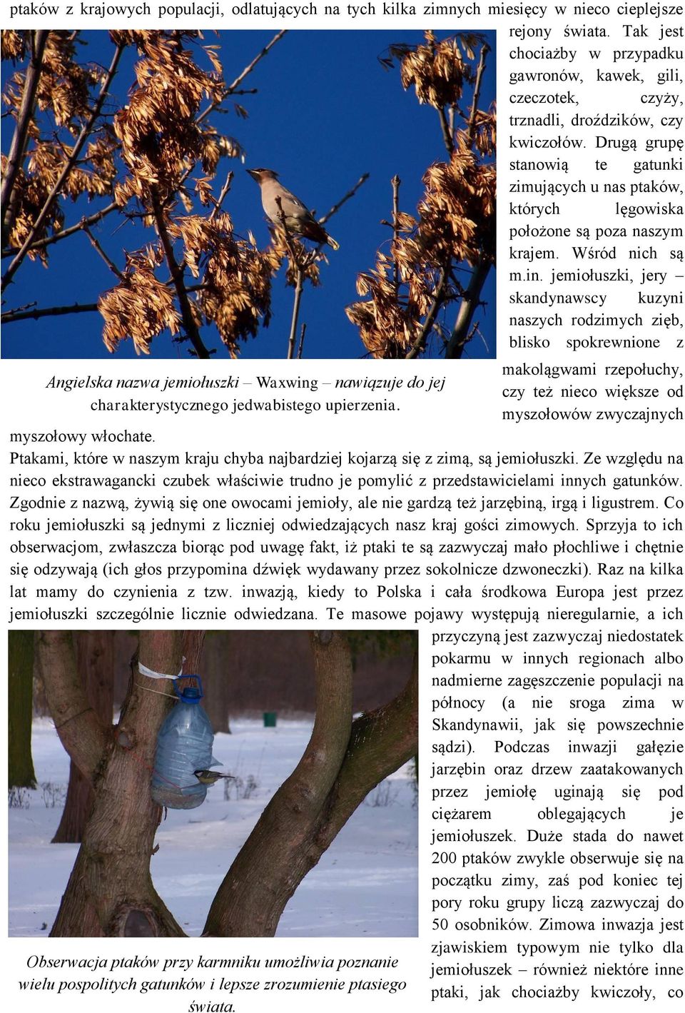 Drugą grupę stanowią te gatunki zimujących u nas ptaków, których lęgowiska położone są poza naszym krajem. Wśród nich są m.in.