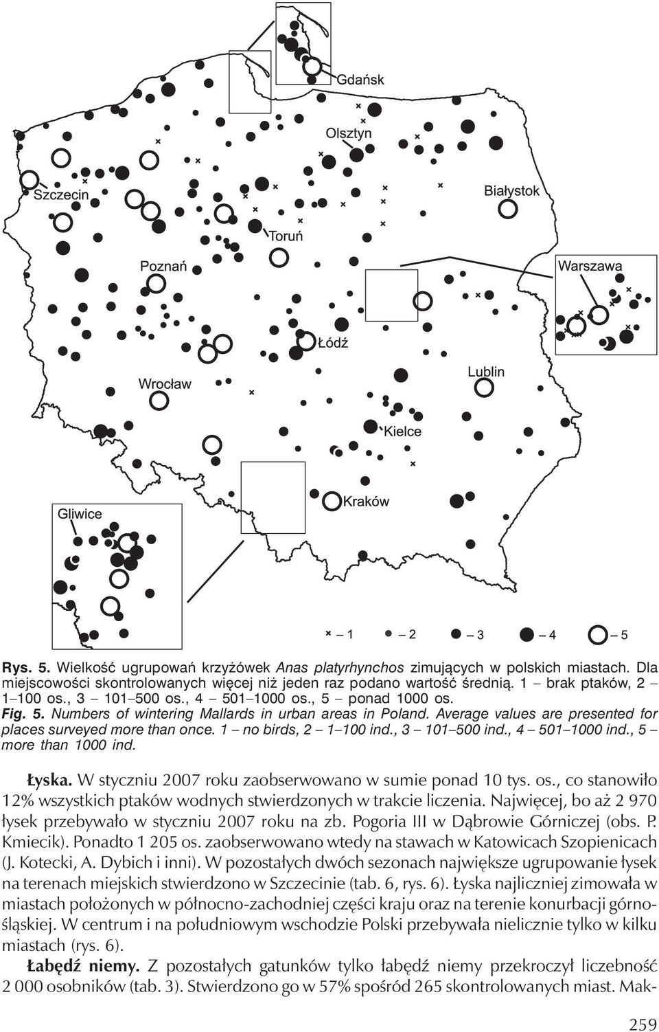 1 no birds, 2 1 100 ind., 3 101 500 ind., 4 501 1000 ind., 5 more than 1000 ind. Łyska. W styczniu 2007 roku zaobserwowano w sumie ponad10 tys. os.