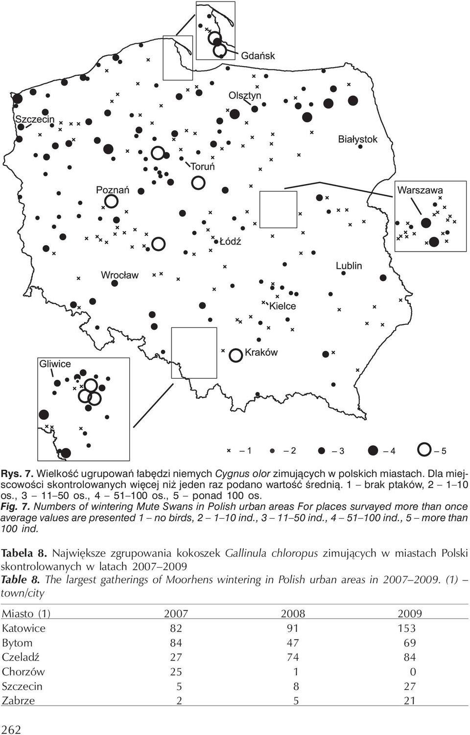 , 3 11 50 ind., 4 51 100 ind., 5 more than 100 ind. Tabela 8. Największe zgrupowania kokoszek Gallinula chloropus zimujących w miastach Polski skontrolowanych w latach 2007 2009 Table 8.