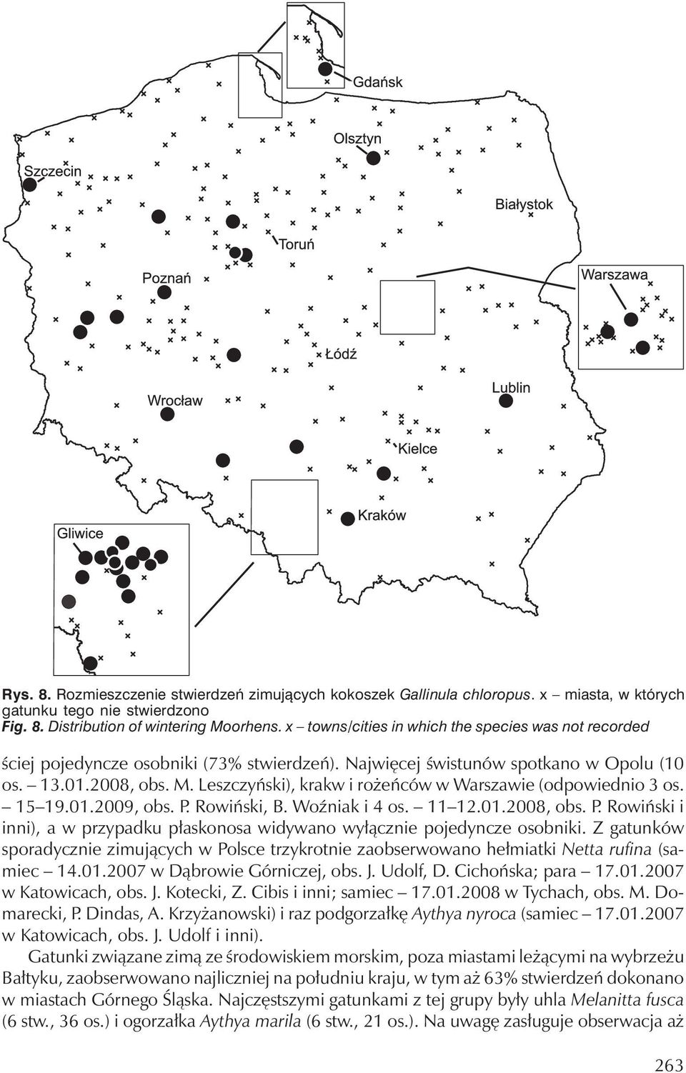 Leszczyński), krakw i rożeńców w Warszawie (odpowiednio 3 os. 15 19.01.2009, obs. P. Rowiński, B. Woźniak i 4 os. 11 12.01.2008, obs. P. Rowiński i inni), a w przypadku płaskonosa widywano wyłącznie pojedyncze osobniki.