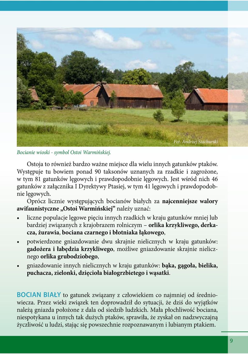Jest wśród nich 46 gatunków z załącznika I Dyrektywy Ptasiej, w tym 41 lęgowych i prawdopodobnie lęgowych.