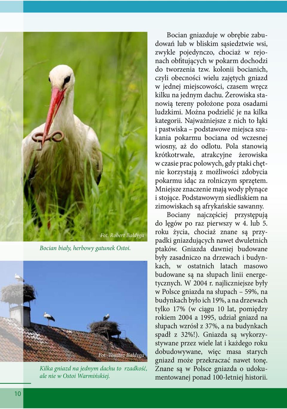 kolonii bocianich, czyli obecności wielu zajętych gniazd w jednej miejscowości, czasem wręcz kilku na jednym dachu. Żerowiska stanowią tereny położone poza osadami ludzkimi.