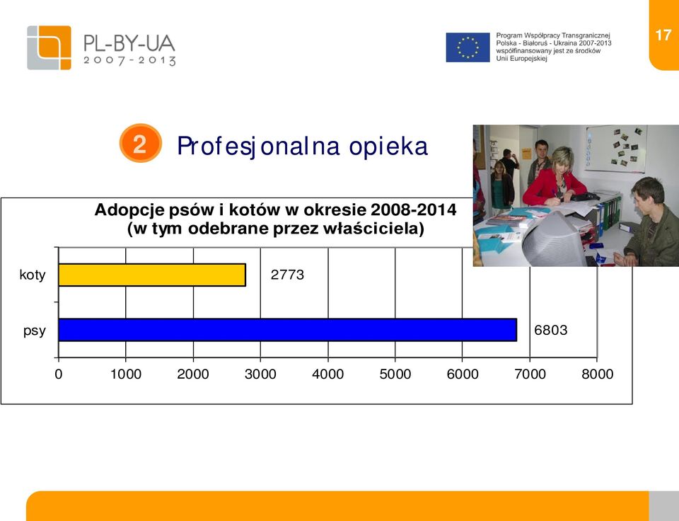 odebrane przez właściciela) koty 2773