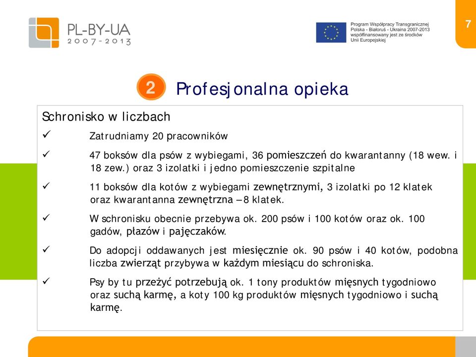 W schronisku obecnie przebywa ok. 200 psów i 100 kotów oraz ok. 100 gadów, płazów i pajęczaków. Do adopcji oddawanych jest miesięcznie ok.