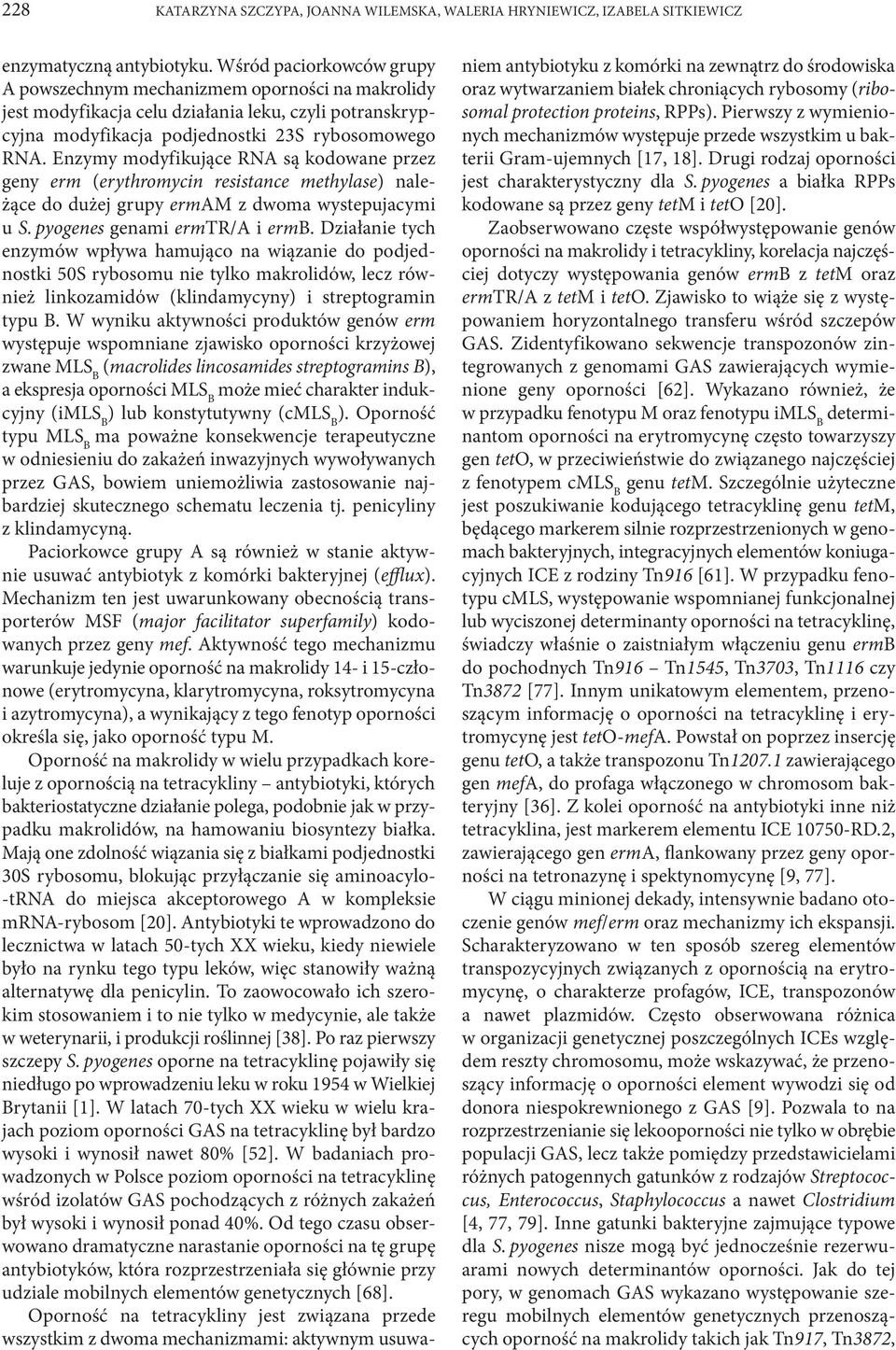 Enzymy modyfikujące RNA są kodowane przez geny erm (erythromycin resistance methylase) należące do dużej grupy ermam z dwoma wystepujacymi u S. pyogenes genami ermtr/a i ermb.