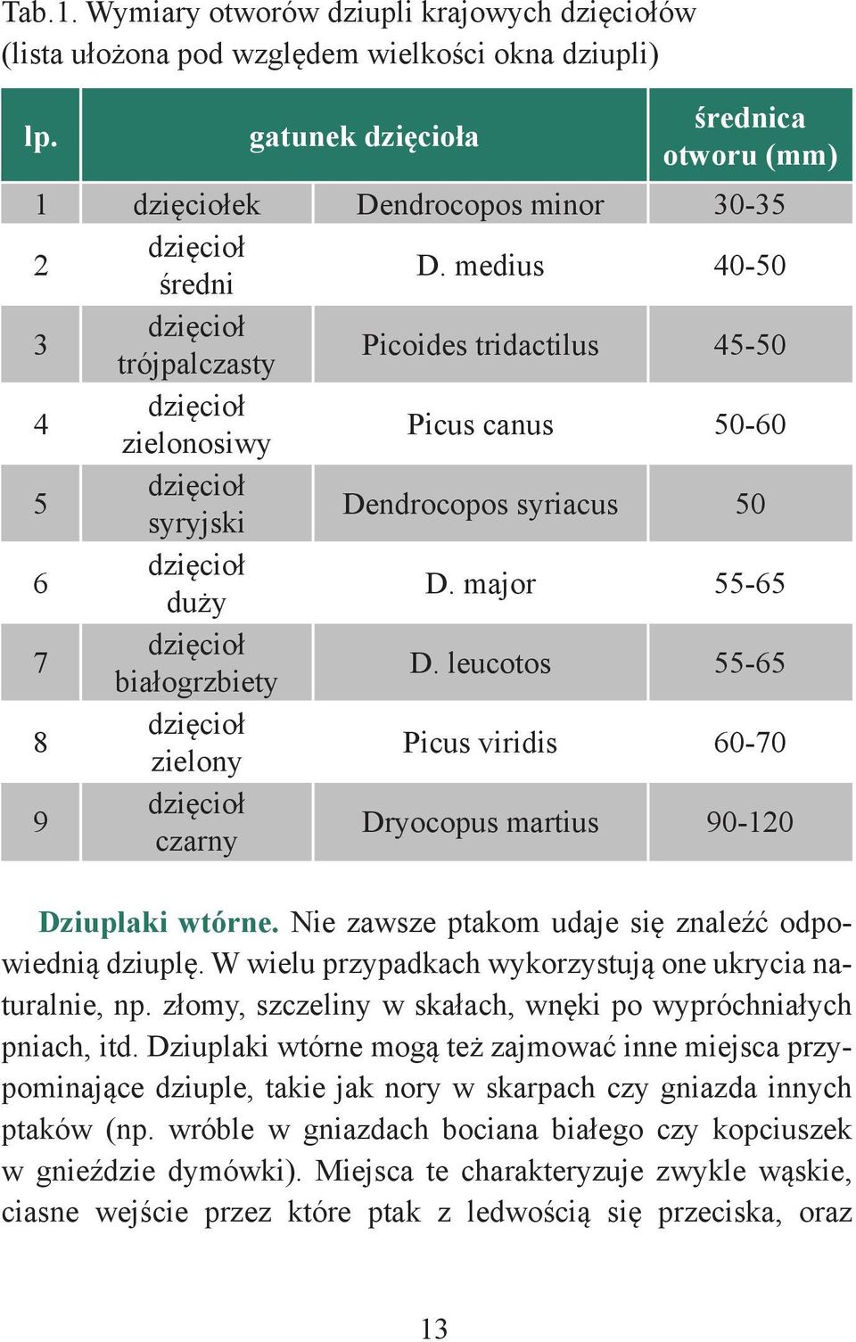 medius 40-50 3 dzięcioł trójpalczasty Picoides tridactilus 45-50 4 dzięcioł zielonosiwy Picus canus 50-60 5 dzięcioł syryjski Dendrocopos syriacus 50 6 dzięcioł duży D.