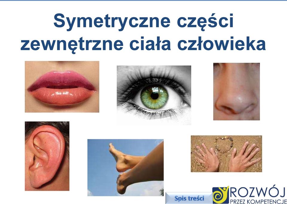 zewnętrzne