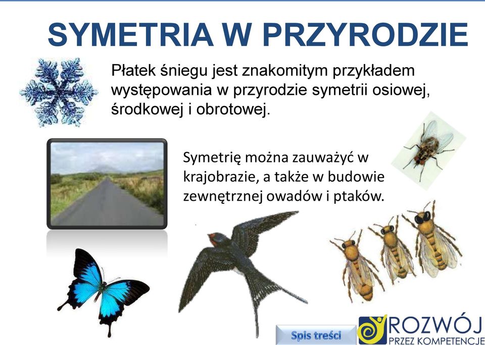 osiowej, środkowej i obrotowej.