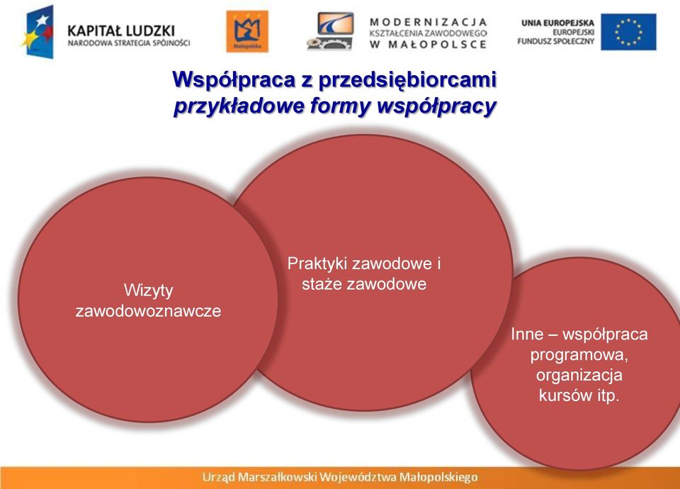 Praktyki zawodowe i staże zawodowe Inne