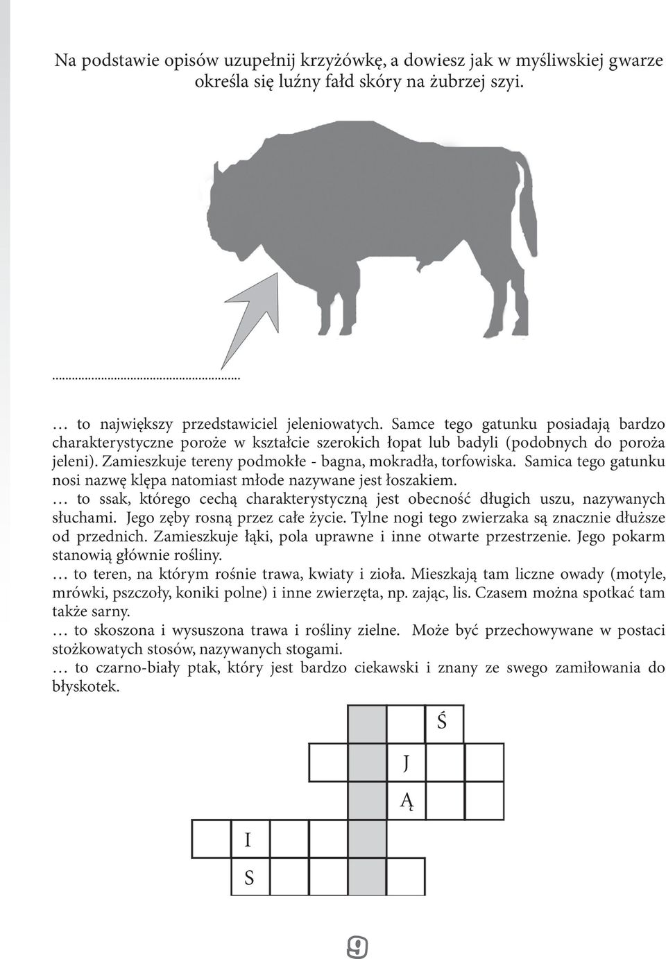 Samica tego gatunku nosi nazwę klępa natomiast młode nazywane jest łoszakiem. to ssak, którego cechą charakterystyczną jest obecność długich uszu, nazywanych słuchami.