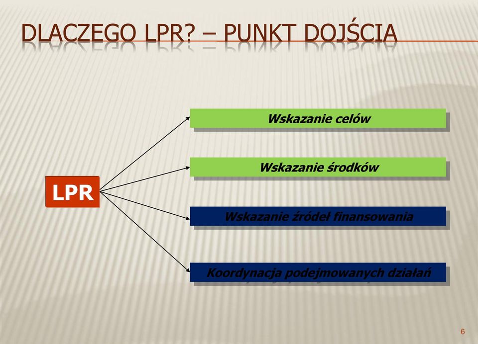 LPR Wskazanie środków Wskazanie