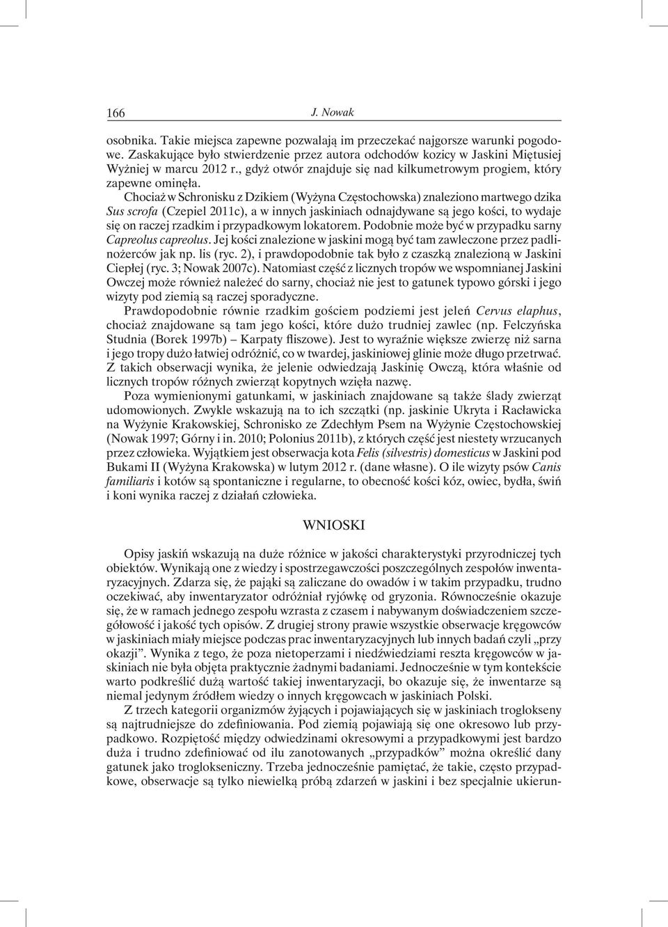 Chociaż w Schronisku z Dzikiem (Wyżyna Częstochowska) znaleziono martwego dzika Sus scrofa (Czepiel 2011c), a w innych jaskiniach odnajdywane są jego kości, to wydaje się on raczej rzadkim i