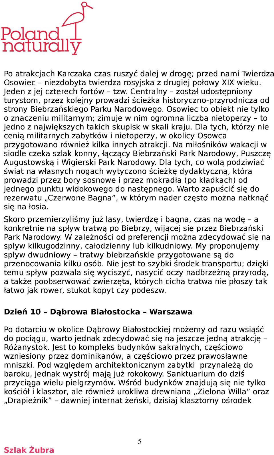 Osowiec to obiekt nie tylko o znaczeniu militarnym; zimuje w nim ogromna liczba nietoperzy to jedno z największych takich skupisk w skali kraju.