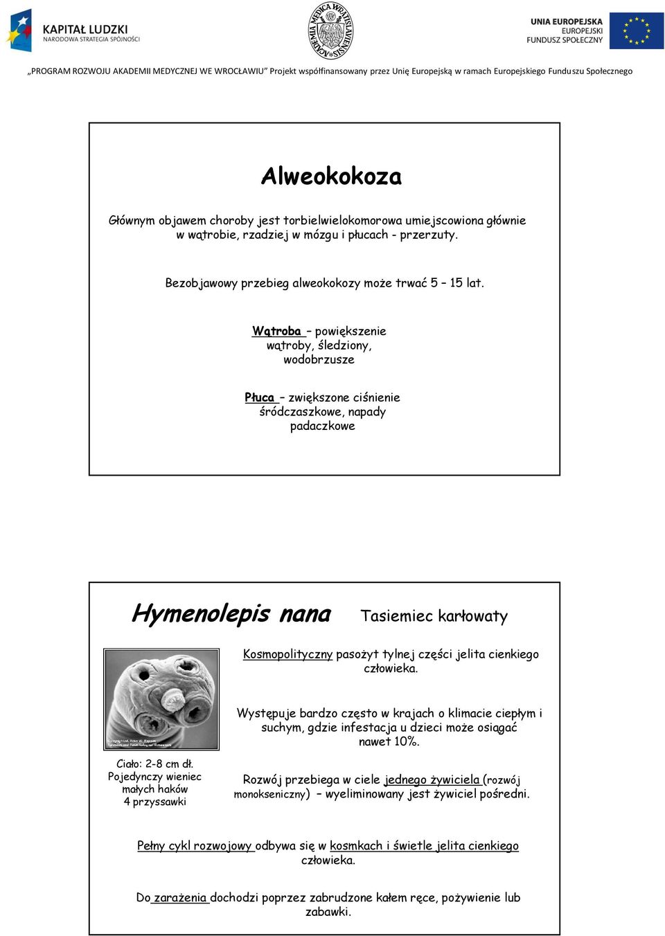 cienkiego człowieka. Występuje bardzo często w krajach o klimacie ciepłym i suchym, gdzie infestacja u dzieci moŝe osiągać nawet 10%. Ciało: 2-8 cm dł.