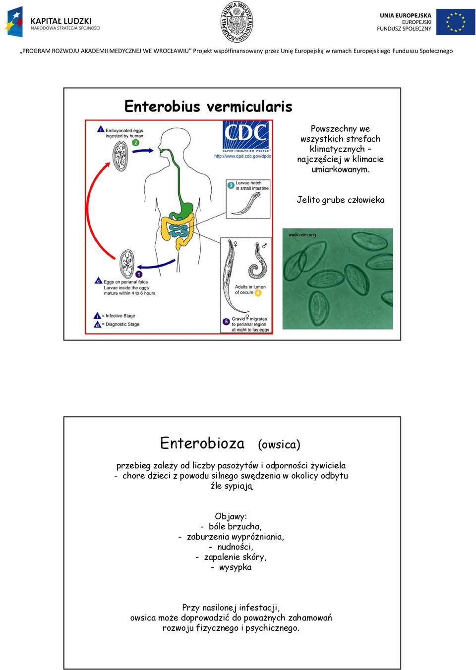 org Enterobioza (owsica) przebieg zaleŝy od liczby pasoŝytów i odporności Ŝywiciela - chore dzieci z powodu silnego