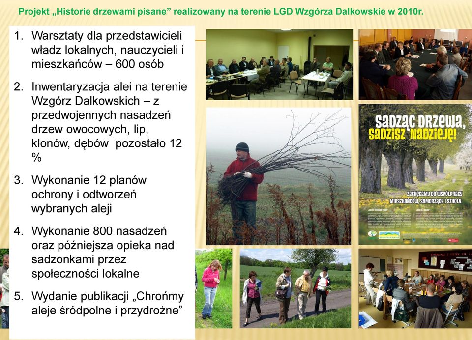 Inwentaryzacja alei na terenie Wzgórz Dalkowskich z przedwojennych nasadzeń drzew owocowych, lip, klonów, dębów pozostało 12 %