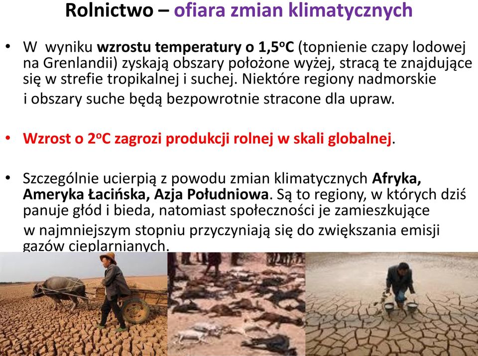 Wzrost o 2 o C zagrozi produkcji rolnej w skali globalnej. Szczególnie ucierpią z powodu zmian klimatycznych Afryka, Ameryka Łacioska, Azja Południowa.