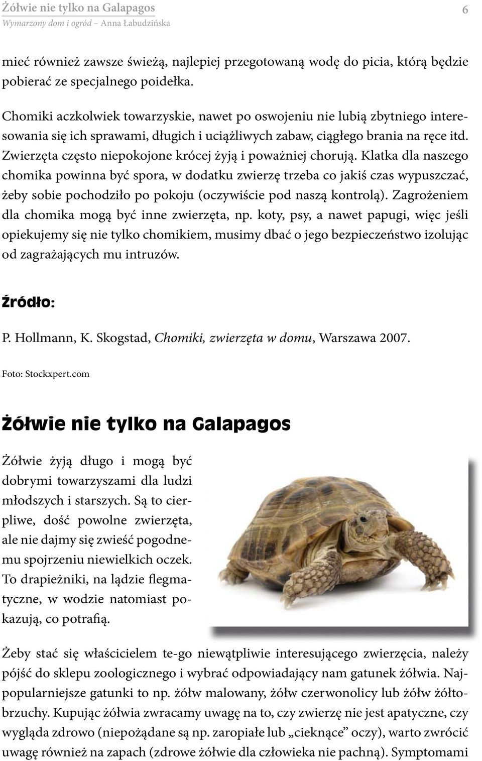 Zwierzęta często niepokojone krócej żyją i poważniej chorują.