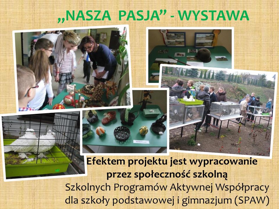 szkolną Szkolnych Programów Aktywnej