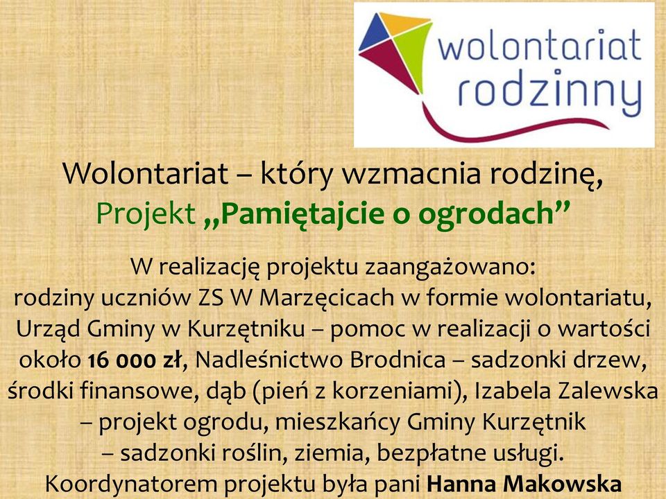 dąb (pień z korzeniami), Izabela Zalewska projekt ogrodu, mieszkańcy Gminy Kurzętnik sadzonki roślin, ziemia,