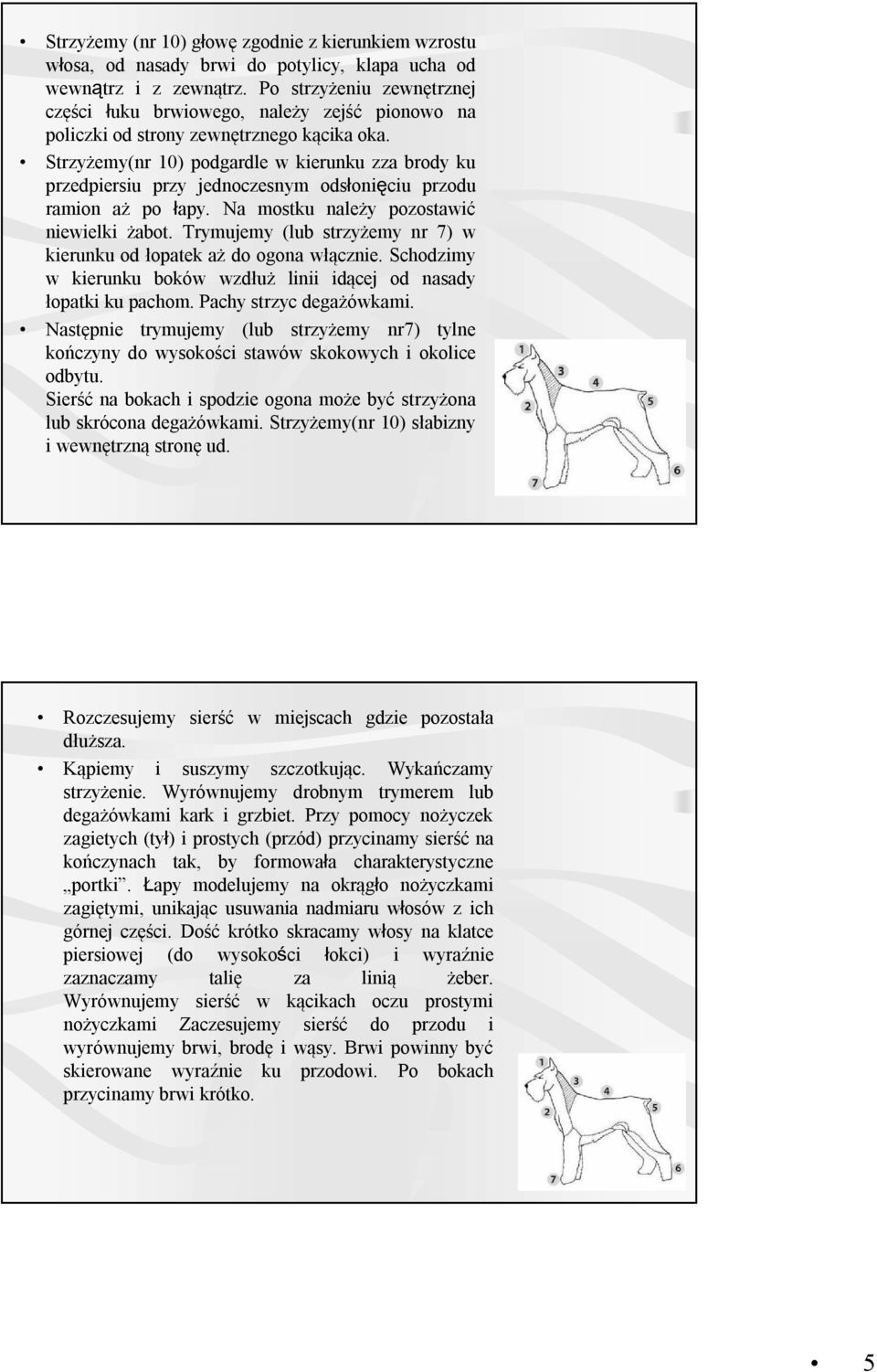 Strzyżemy(nr 10) podgardle w kierunku zza brody ku przedpiersiu przy jednoczesnym odsłonięciu przodu ramion aż po łapy. Na mostku należy pozostawić niewielki żabot.