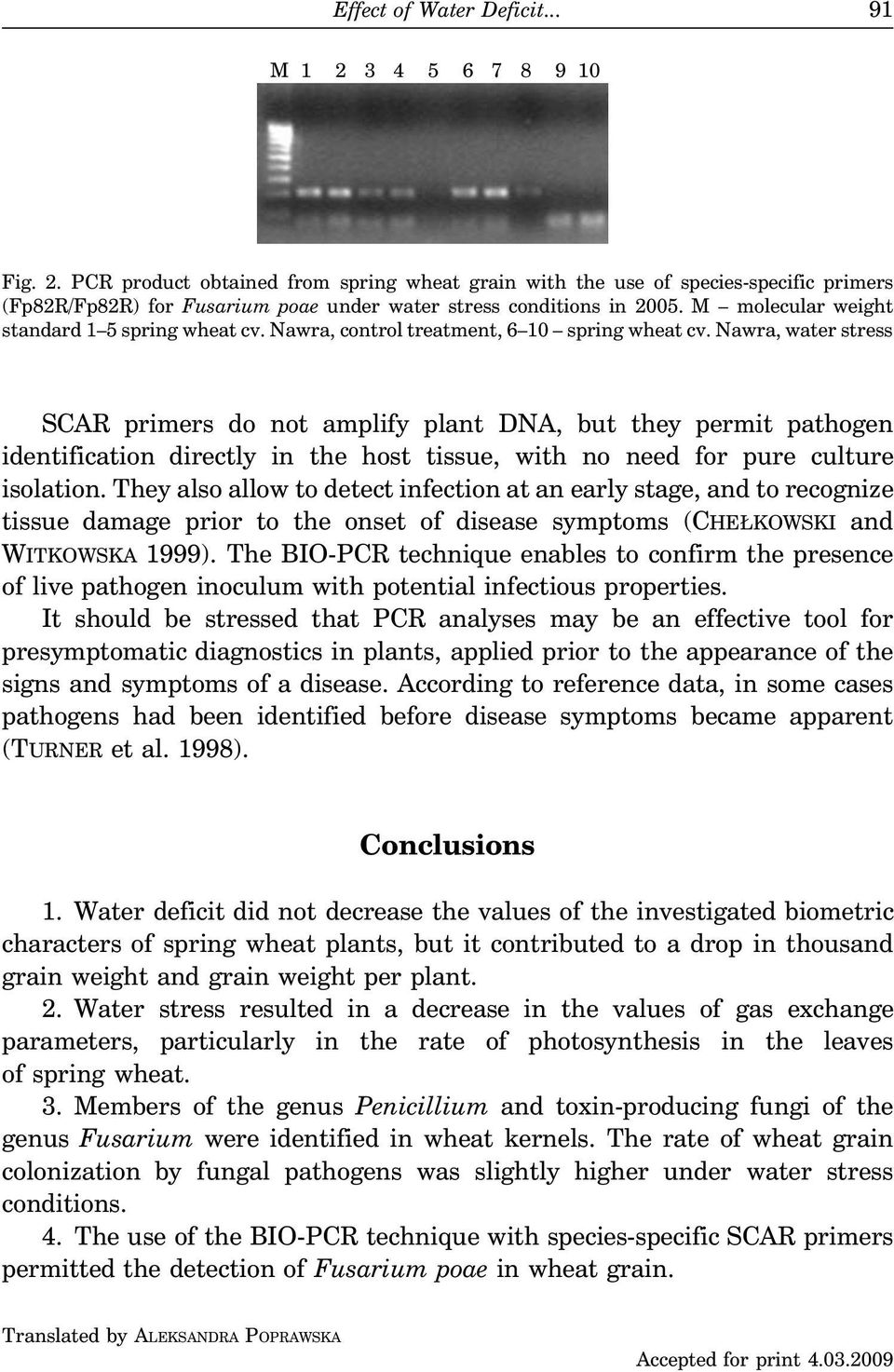 Nawra, water stress SCAR primers do not amplify plant DNA, but they permit pathogen identification directly in the host tissue, with no need for pure culture isolation.