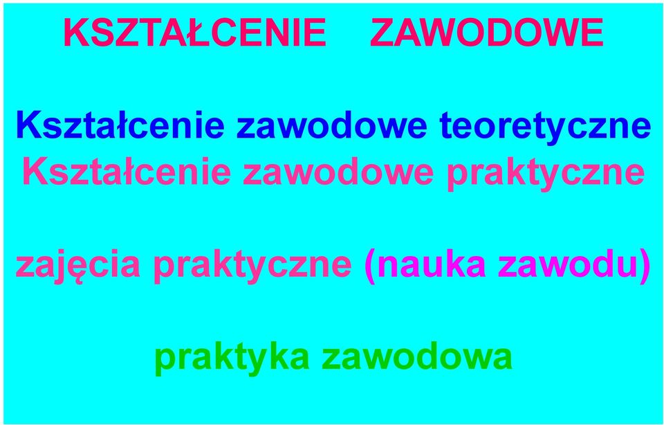 zawodowe praktyczne zajęcia