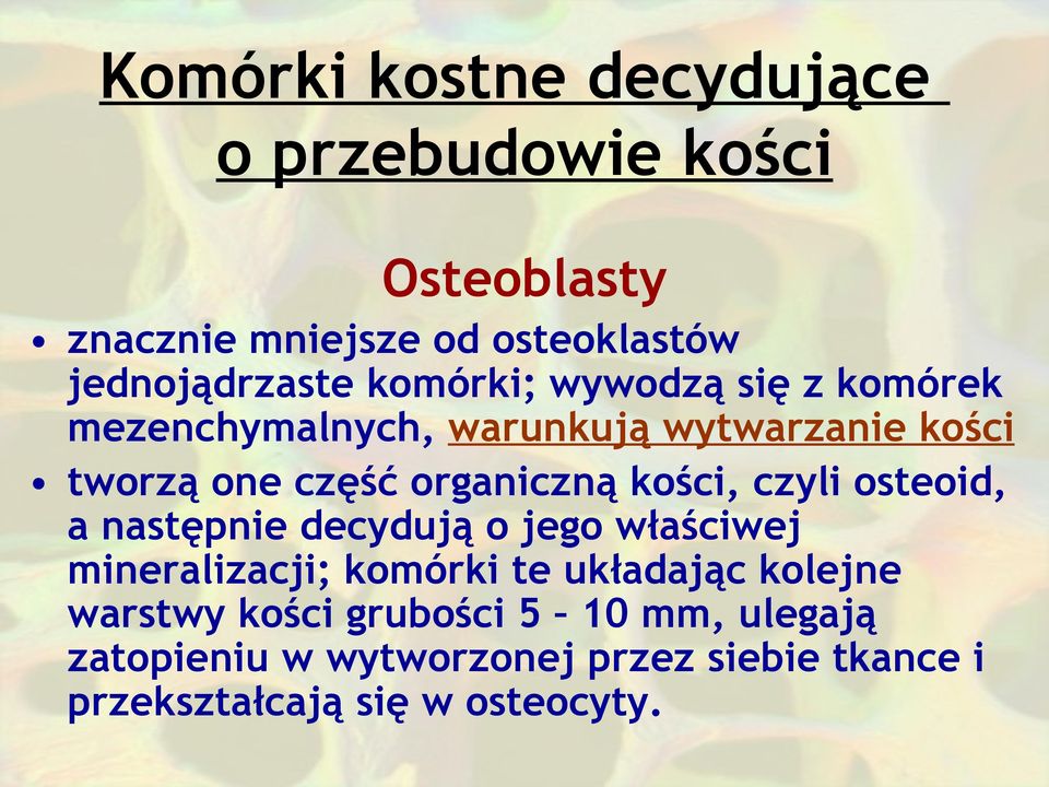 kości, czyli osteoid, a następnie decydują o jego właściwej mineralizacji; komórki te układając kolejne