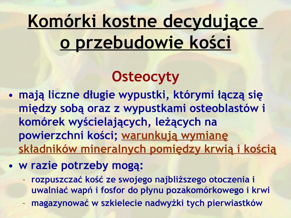 składników mineralnych pomiędzy krwią i kością w razie potrzeby mogą: rozpuszczać kość ze swojego najbliższego