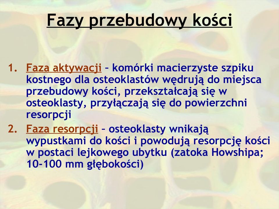 przebudowy kości, przekształcają się w osteoklasty, przyłączają się do powierzchni