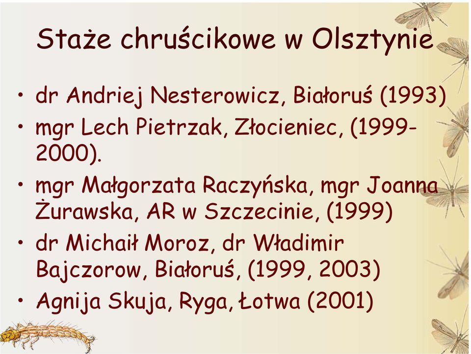 mgr Małgorzata Raczyńska, mgr Joanna Żurawska, AR w Szczecinie, (1999)